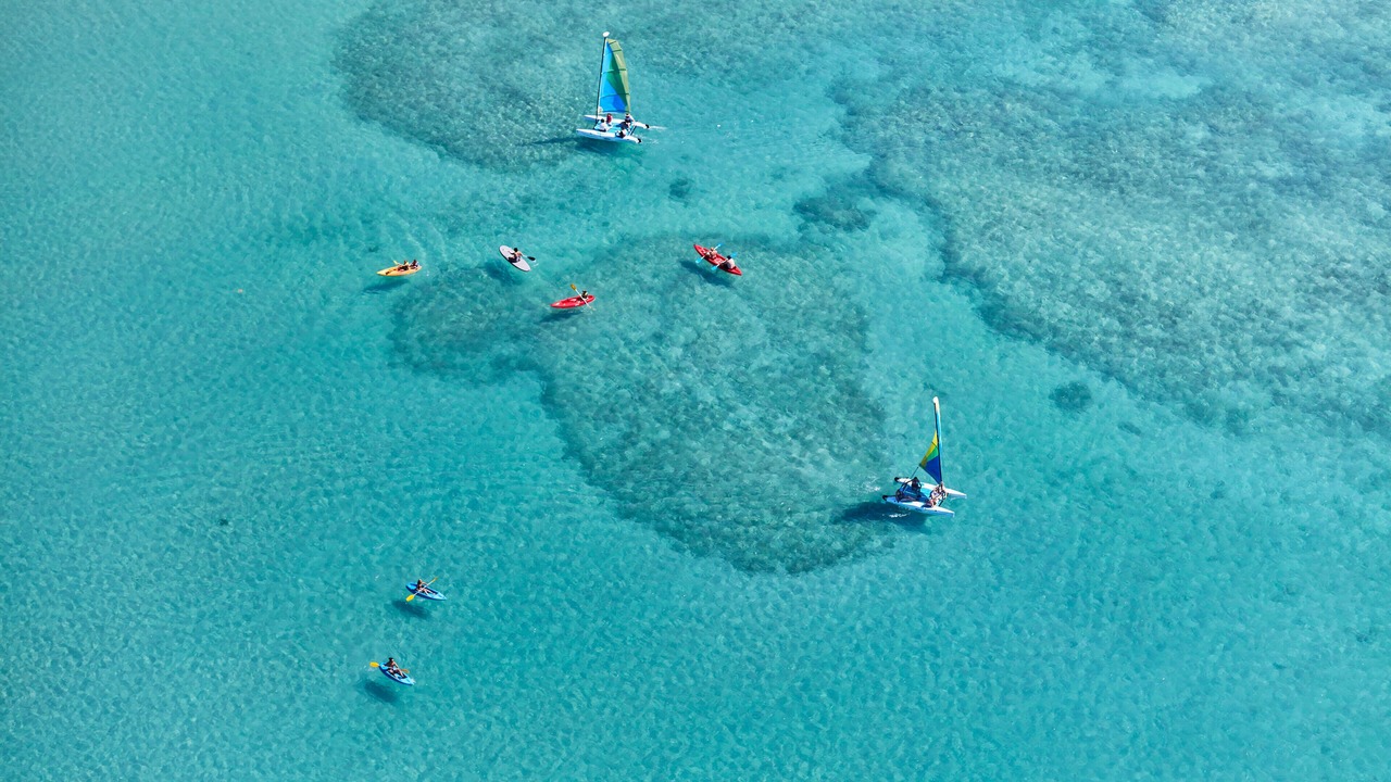Photo of Others in Hamilton Island