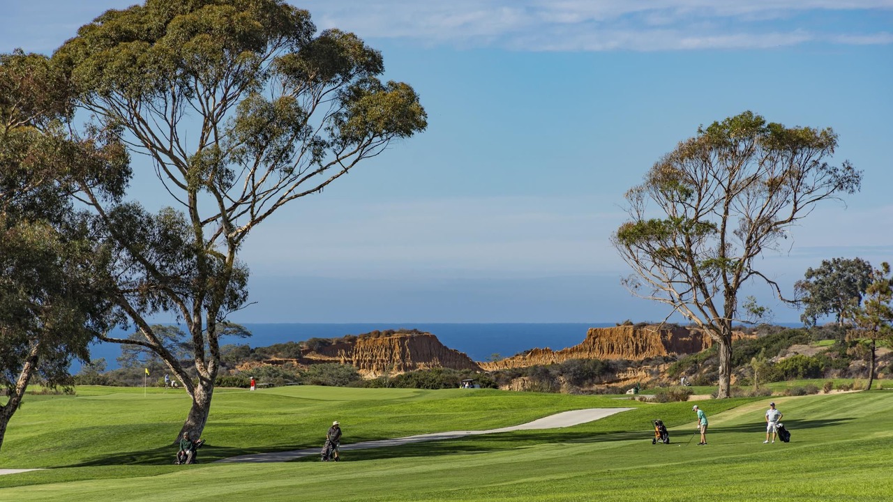 Photo of Others in Torrey Pines