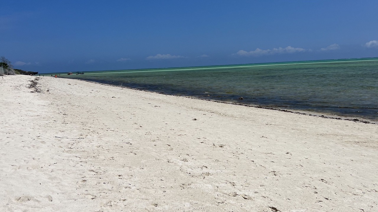 Photo of Others in Watamu