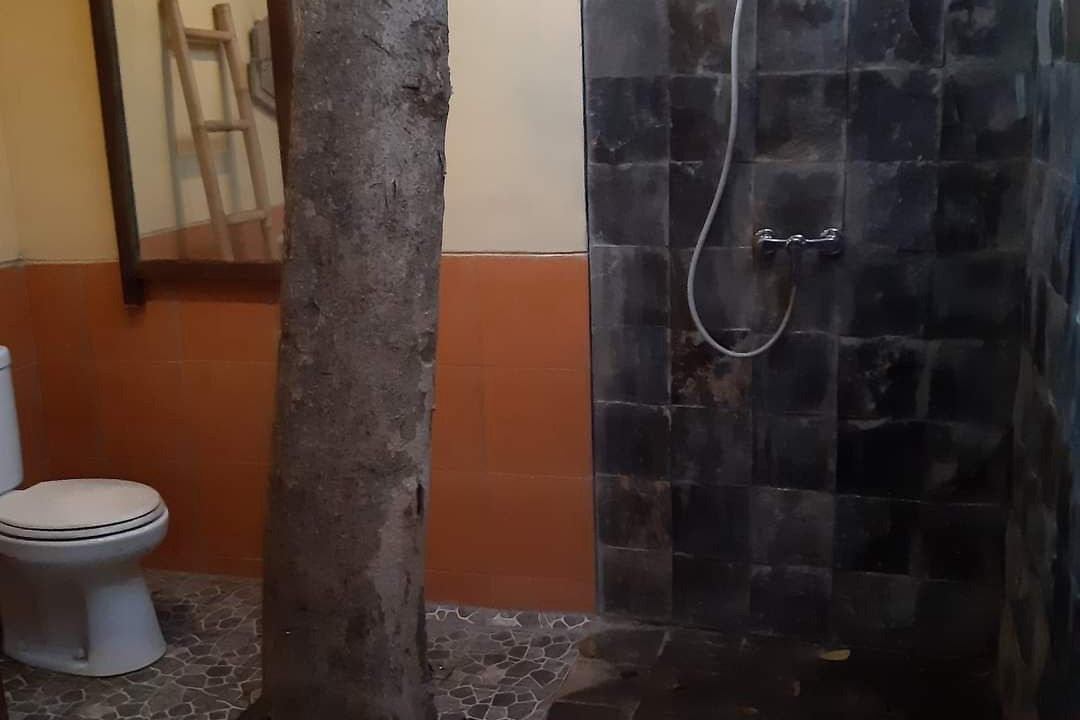 Photo of Bathroom in Padonan
