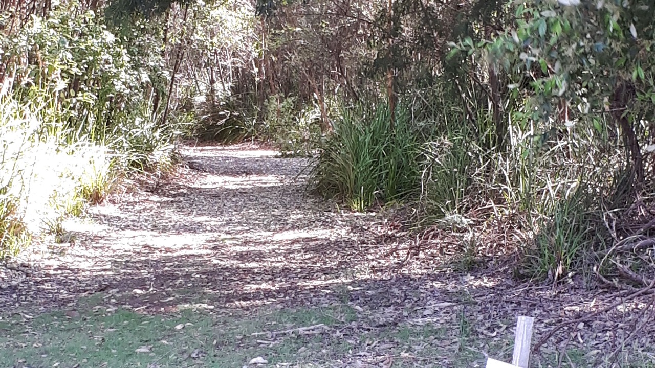 Photo of Outdoor in North Walpole