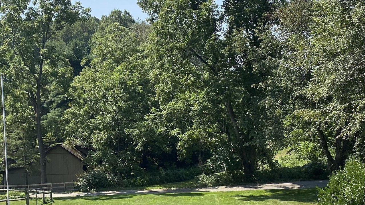 Photo of Others in Deersville