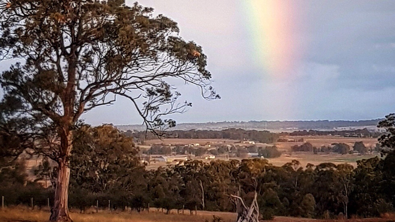 Photo of Others in Hunter Valley