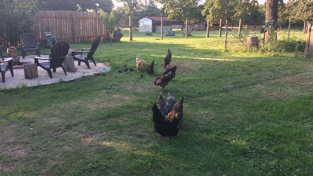 Photo of Others in Bryan