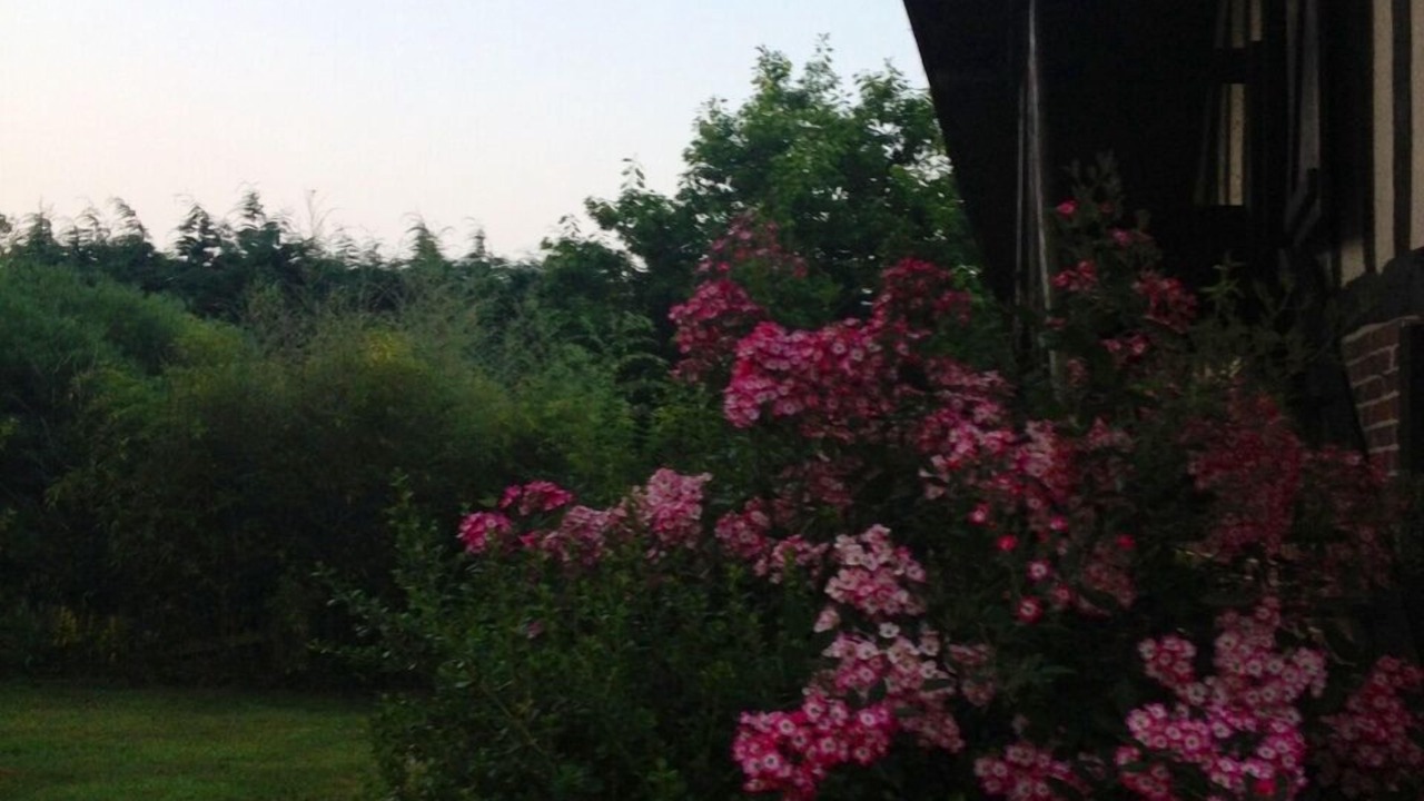 Photo of Outdoor in Maniquerville