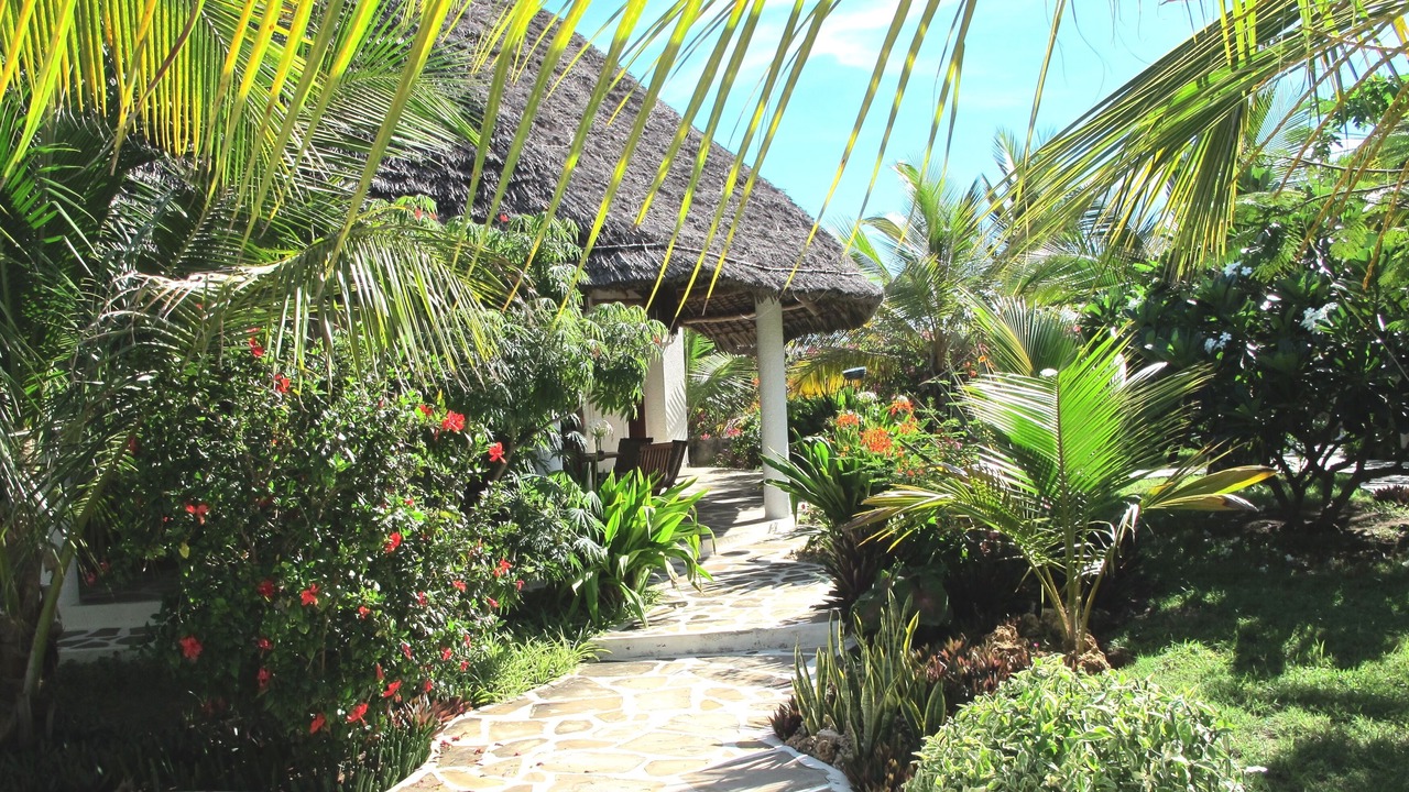 Photo of Outdoor in Watamu