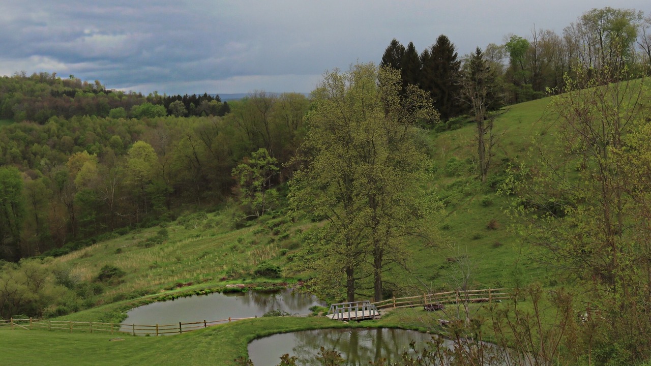 Photo of Others in Mill Run