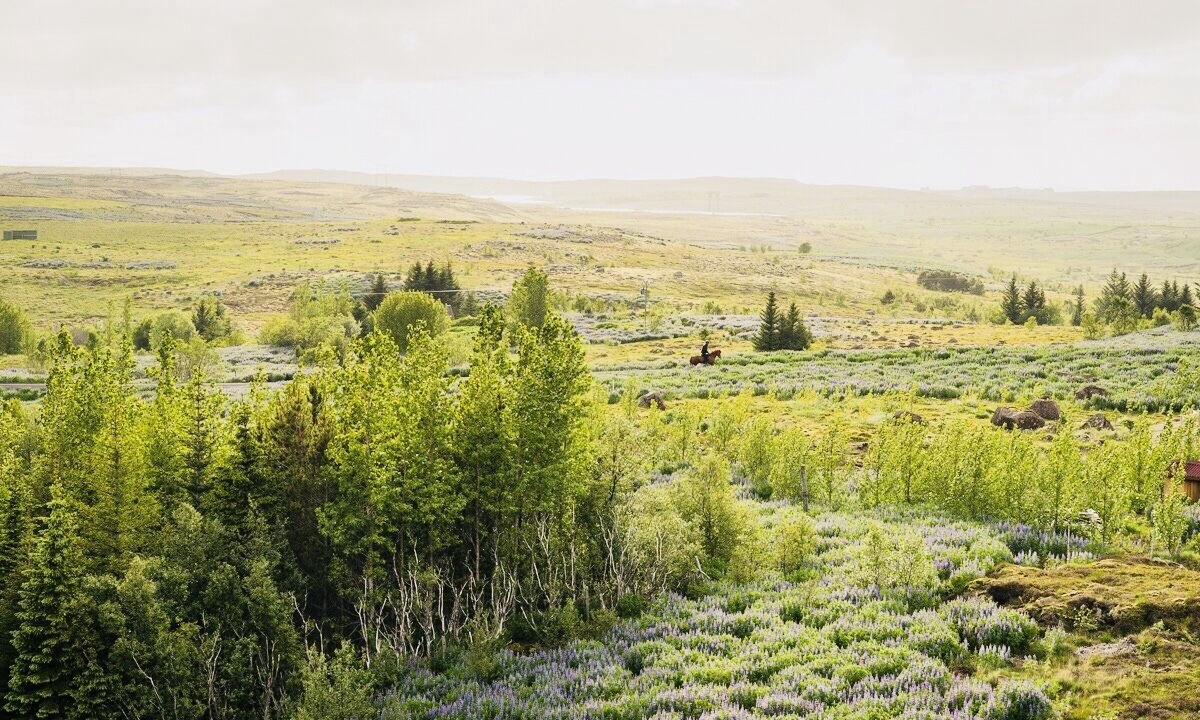 Photo of Outdoor in Mosfellsbaer