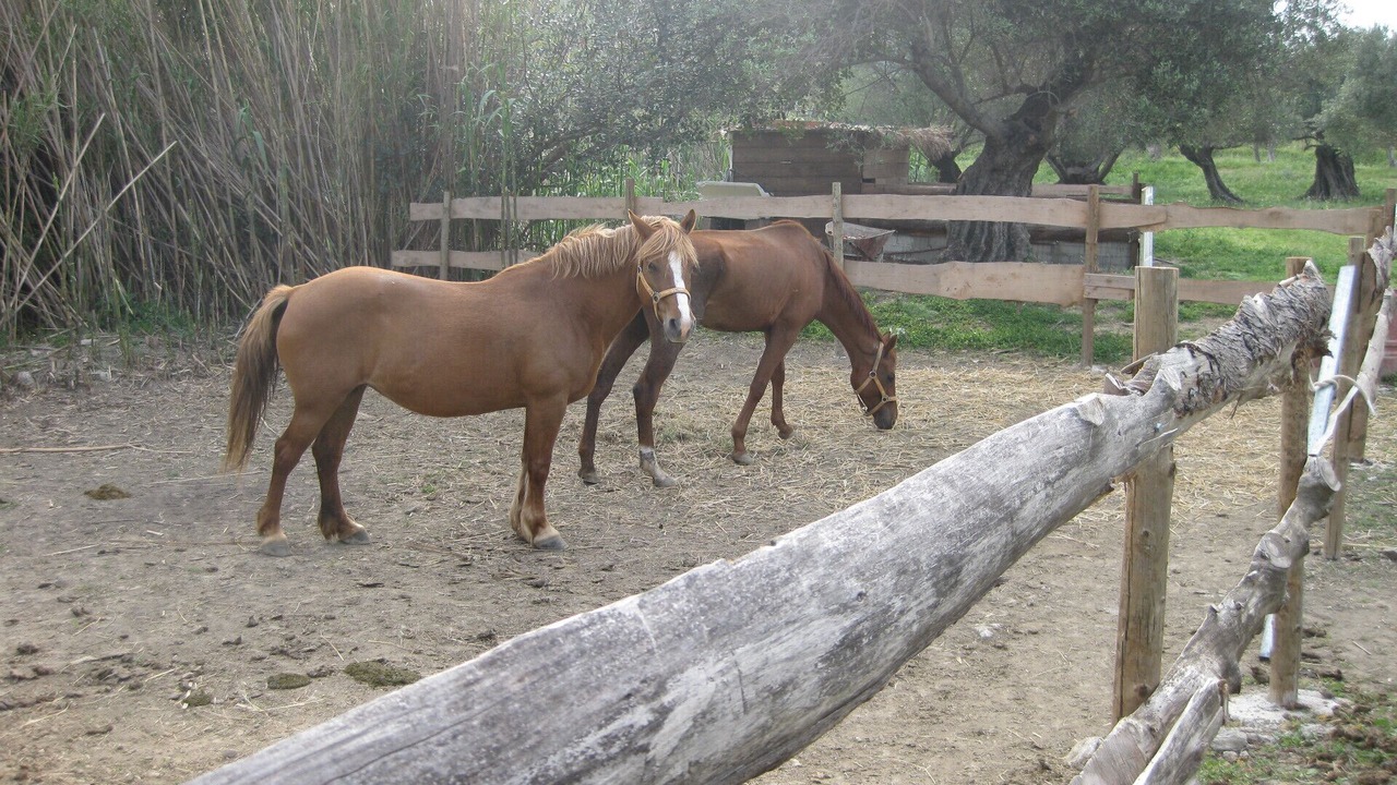 Photo of Others in Agios Vasileios