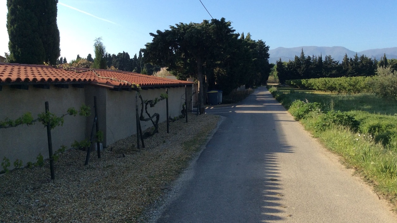 Photo of Outdoor in Argeles-sur-Mer