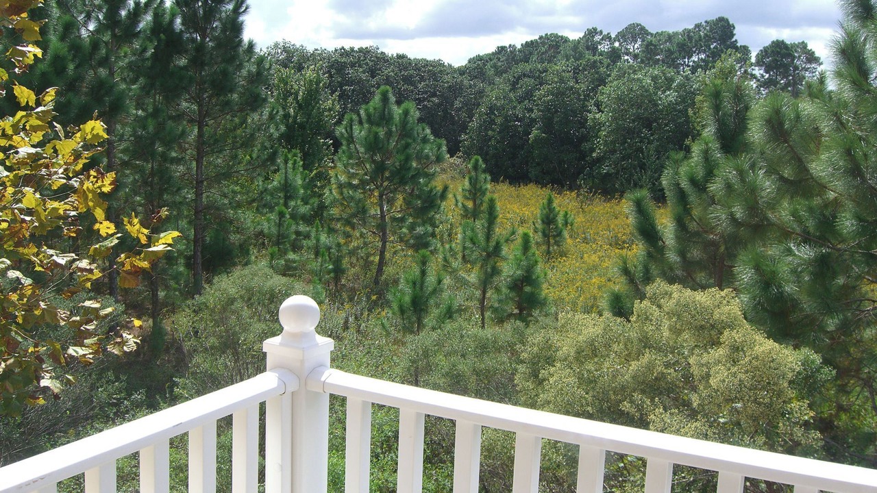 Photo of Patio Balcony in West Kissimmee