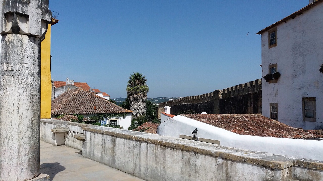 Photo of Others in Praia del Rei
