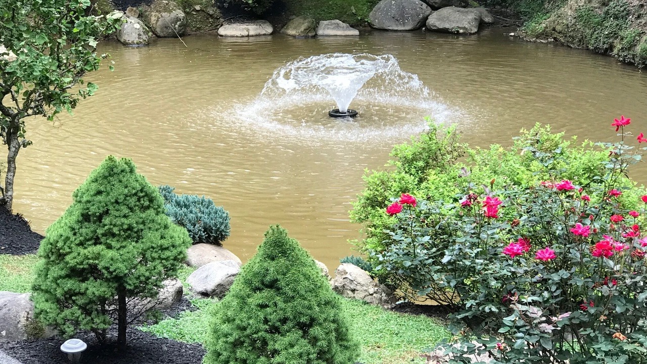 Photo of Outdoor in Sevierville
