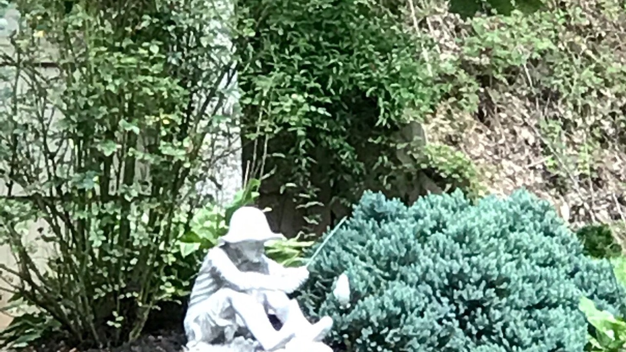 Photo of Outdoor in Sevierville