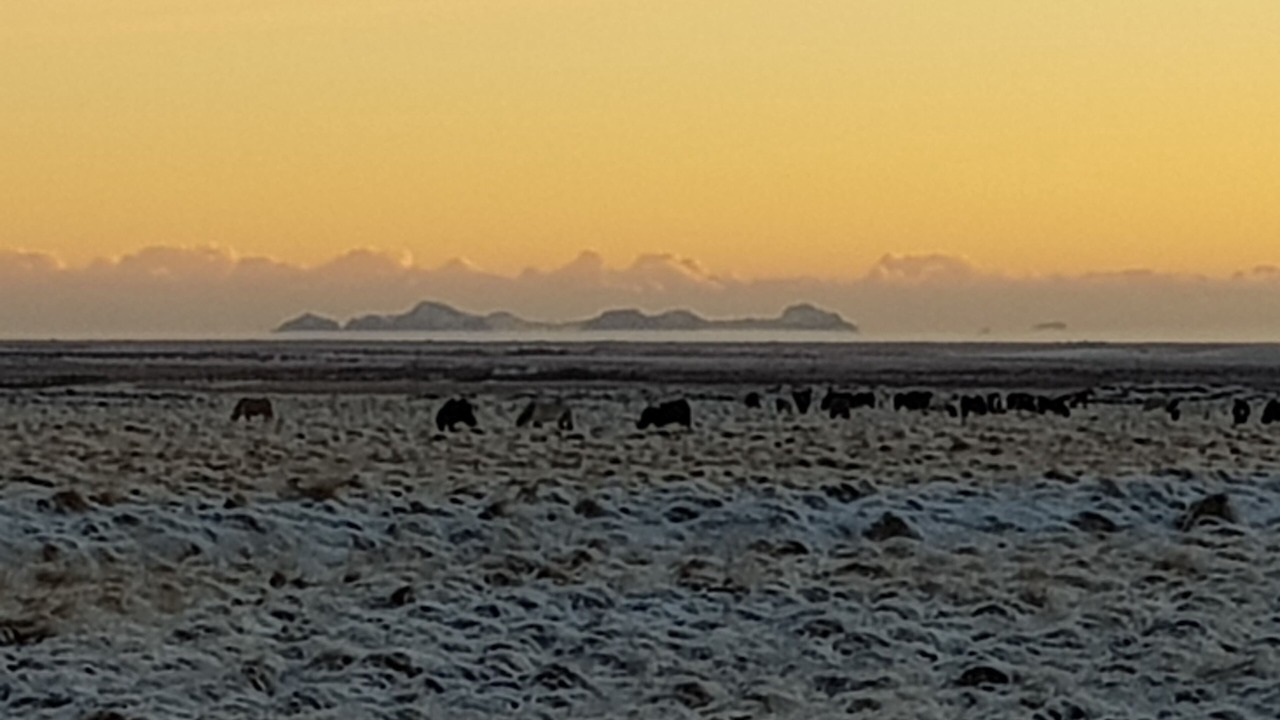 Photo of Others in Rangarþing ytra