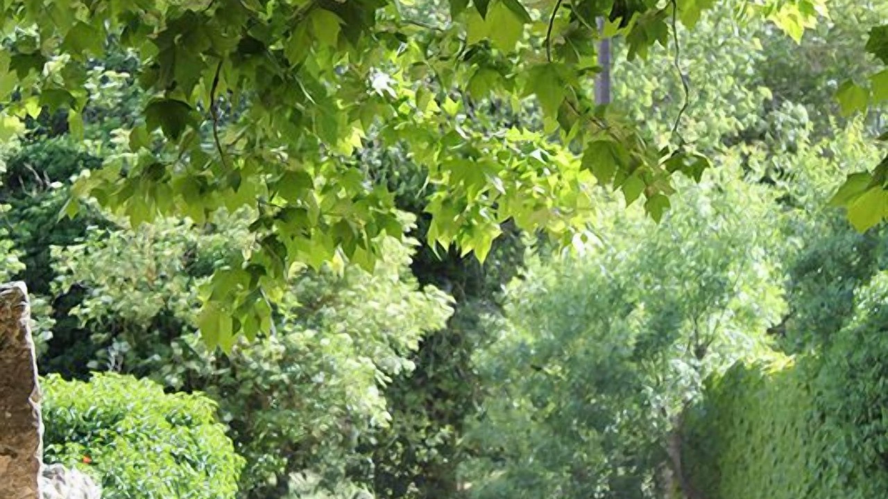Photo of Outdoor in Signes