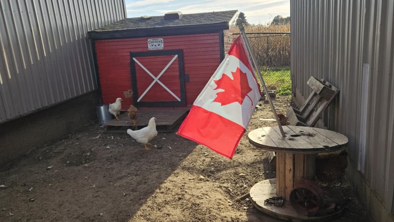 Photo of Outdoor in Rodney