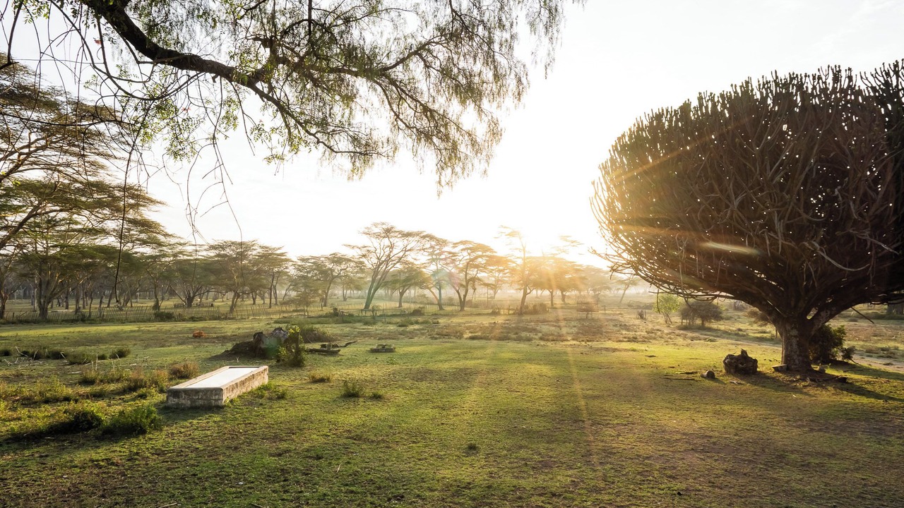 Photo of Others in Naivasha