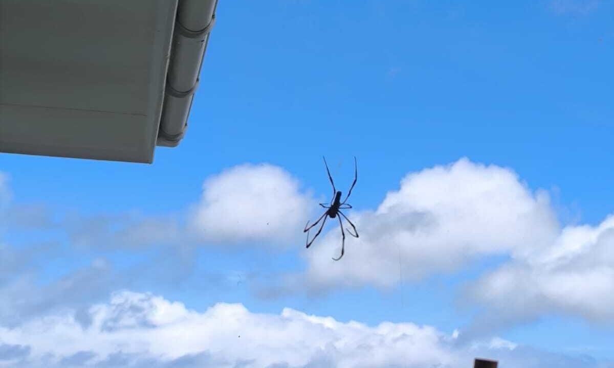 Photo of Outdoor in Anse La Mouche