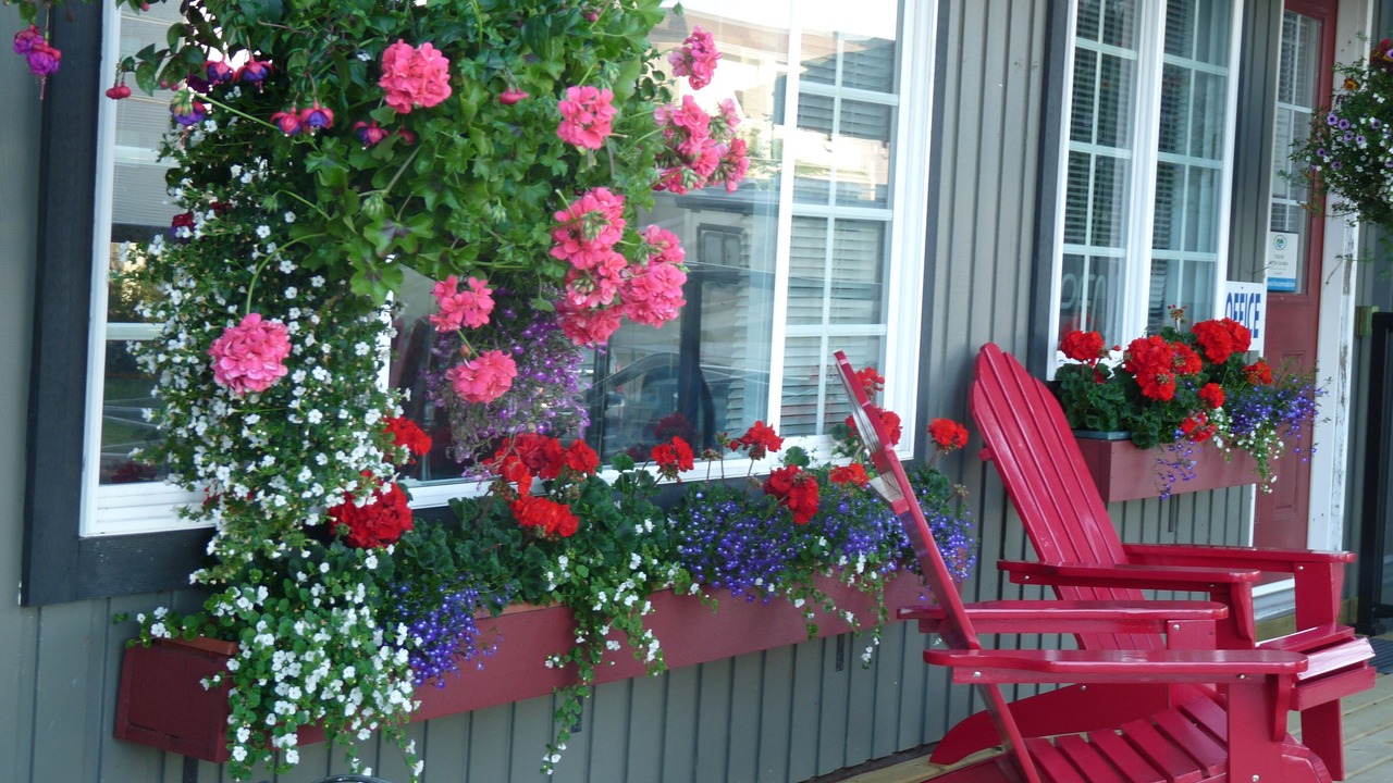 Photo of Outdoor in Campbell River