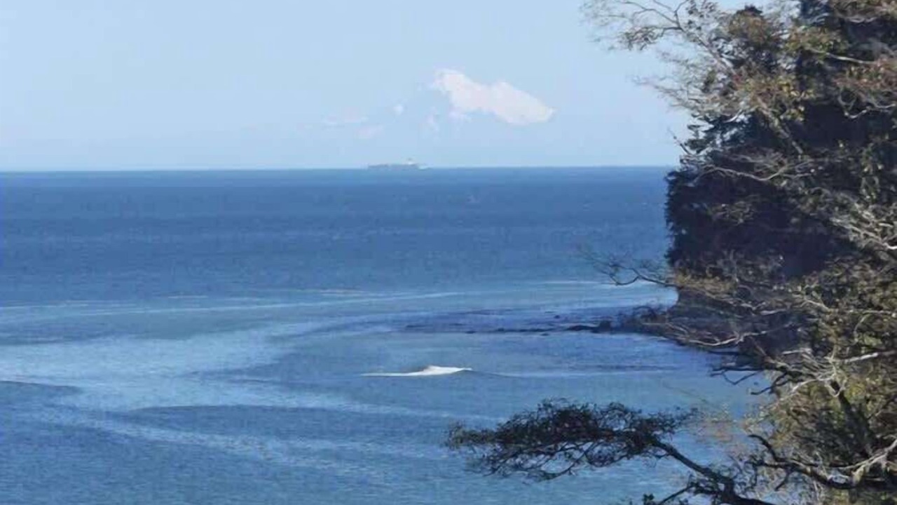 Photo of Others in Port Angeles