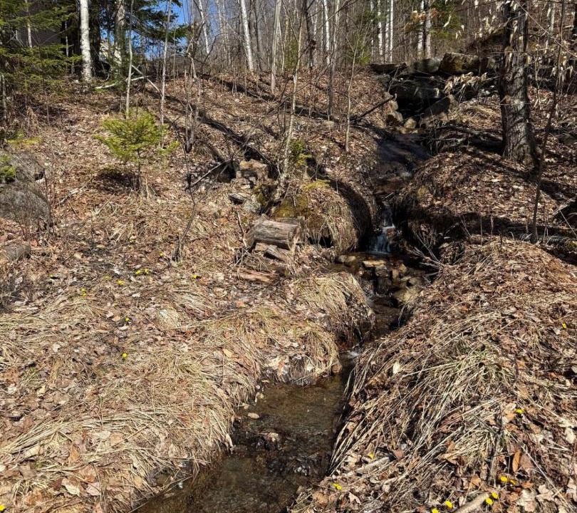 Photo of Others in Saint-Faustin-Lac-Carre