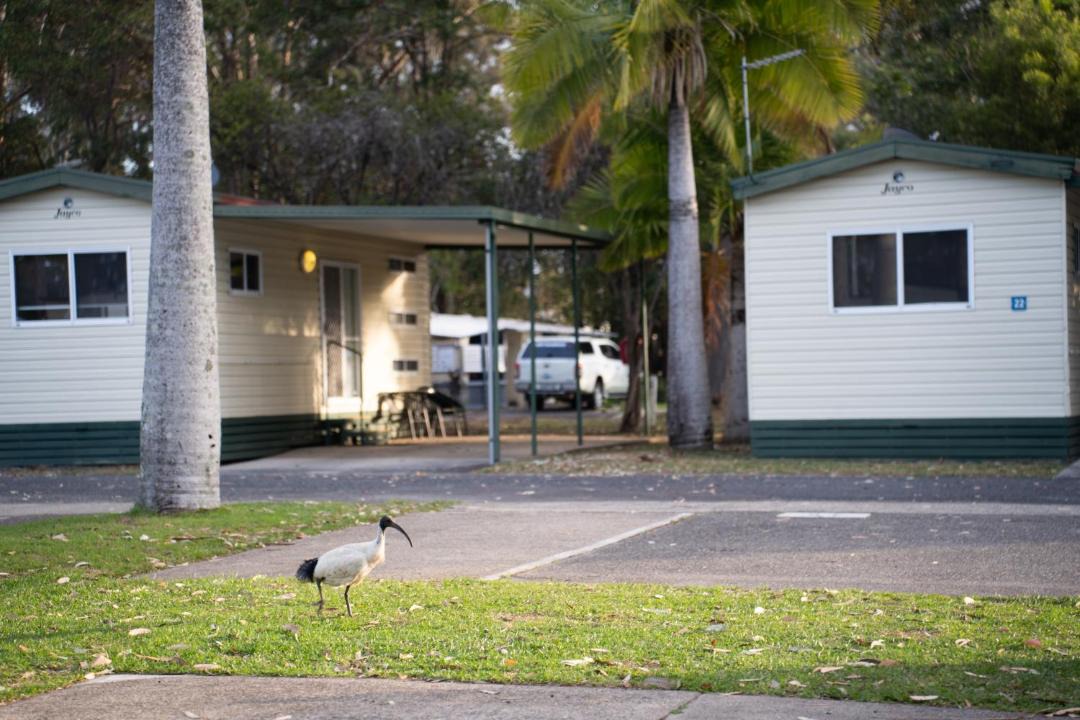 Photo of Others in Coffs Harbour