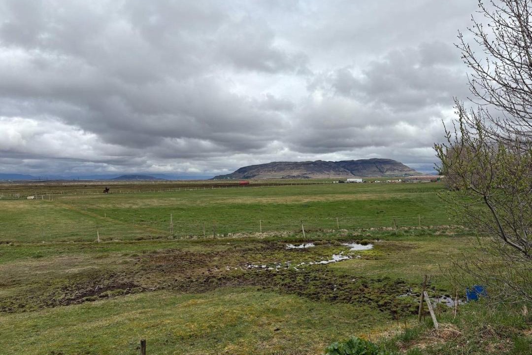 Photo of Others in Olafsvellir
