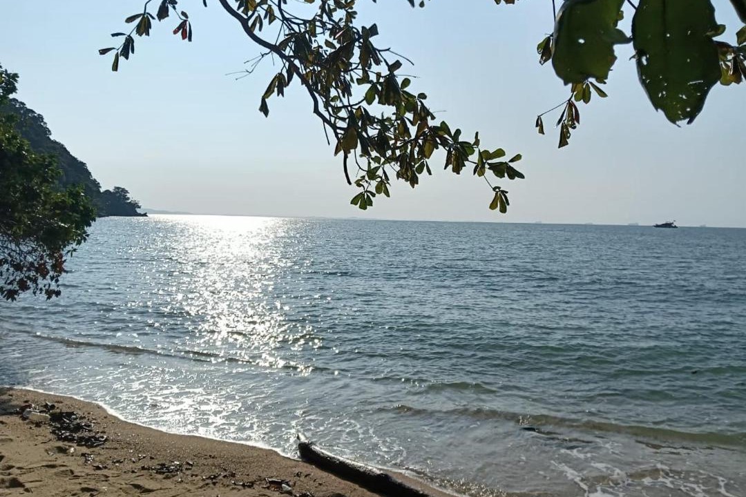 Photo of Others in Tanjung Tanah Merah