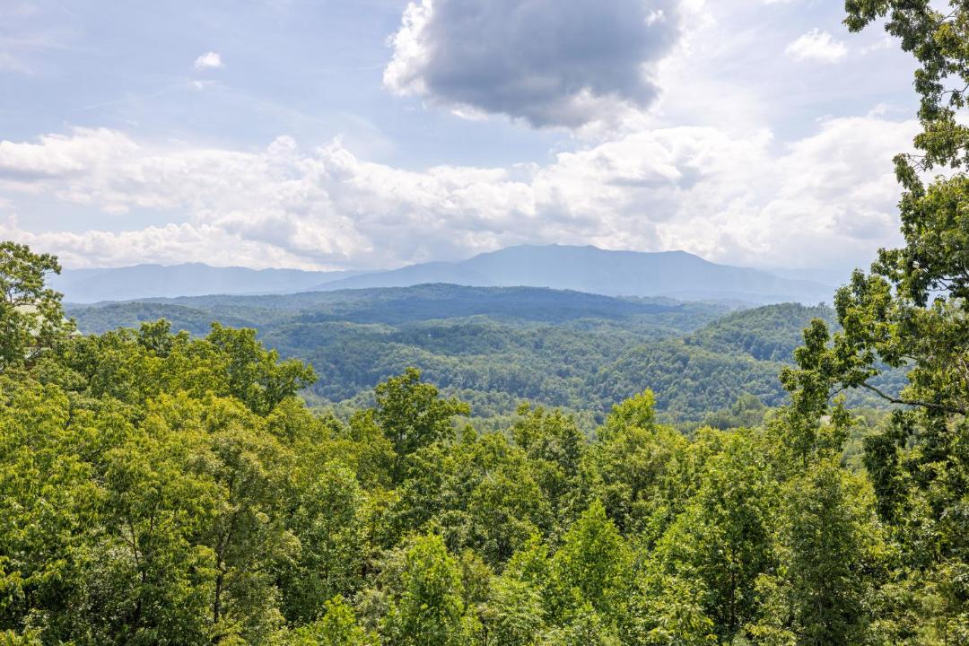 Photo of Others in Sevierville