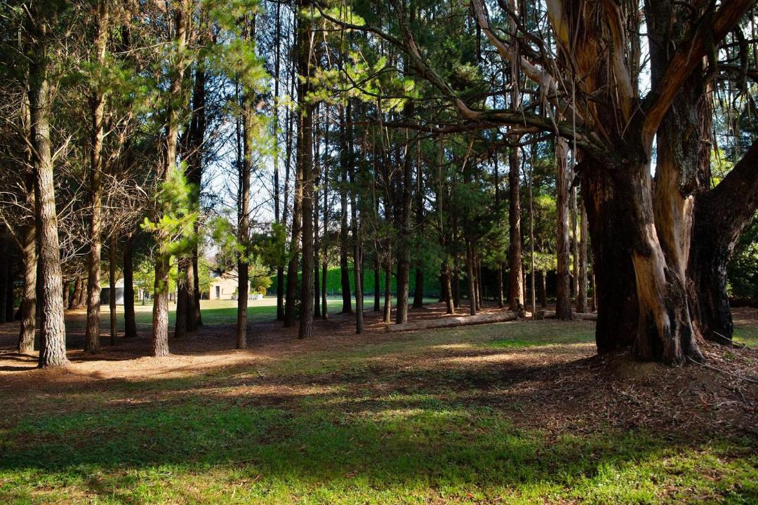 Photo of Others in Trentham