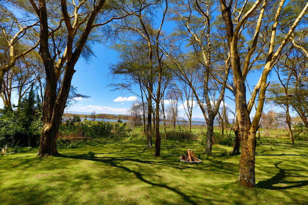Photo of Others in Naivasha