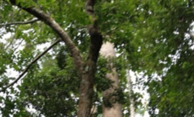 Photo of Others in Kampung Pantai Baru