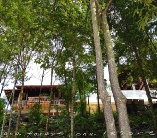 Photo of Others in Kampung Pantai Baru