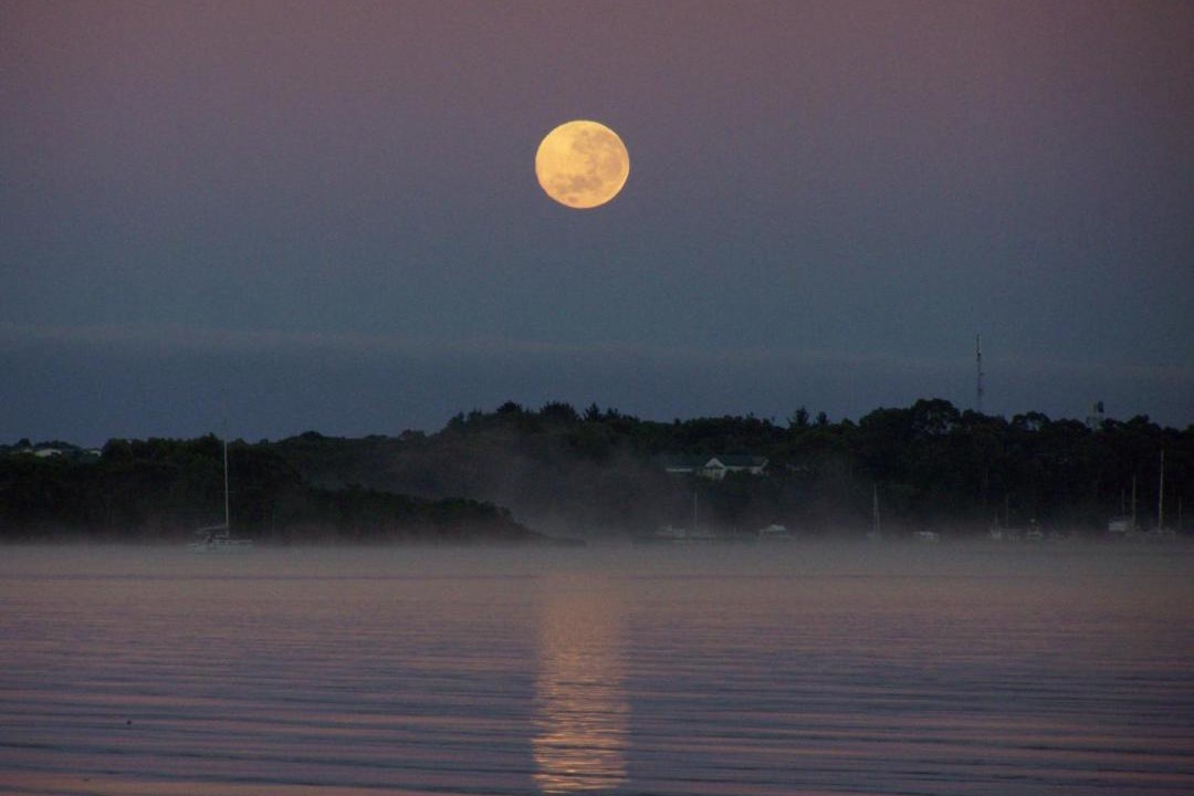 Photo of Others in Strahan