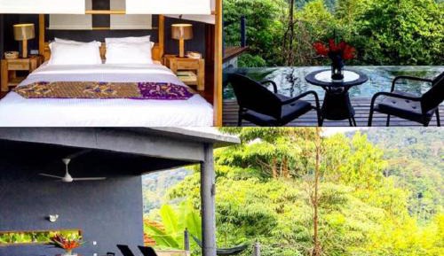 King Suite with Pool View