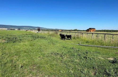 Tetonia House | Charming Glamping Wagon with Mountain Views on Working Ranch near Grand Teton – Tetonia, Idaho