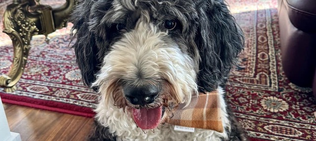 Licensed Pet Friendly Suite on Haskap Farm in Kelowna