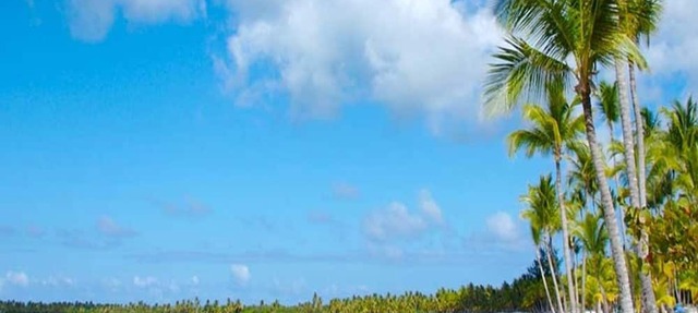 Create unforgettable memories in an exotic paradise in the Dominican Republic in Punta Cana