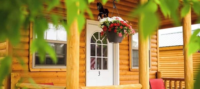 Rustic Ridge Cabin 2, Charming Dayton Retreat (3 Options!) in Dayton