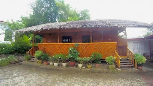 Borneo Tree House in Kota Kinabalu